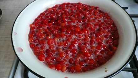 Рецепт варенья из войлочной вишни