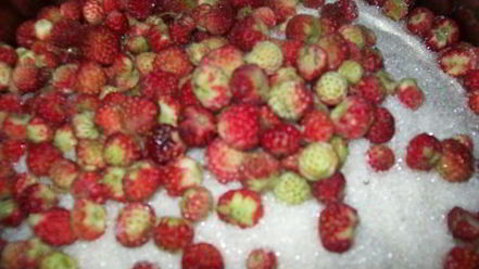 Рецепт варенья земляника с сахаром