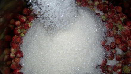 Рецепт варенья земляника с сахаром