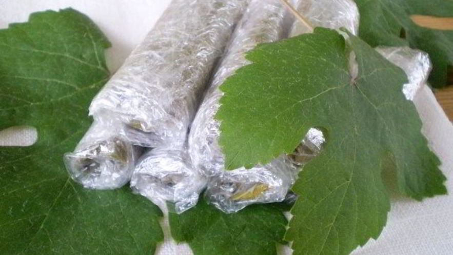 Рецепт виноградных листьев на зиму