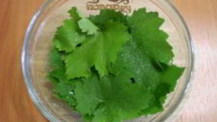 Рецепт виноградных листьев на зиму