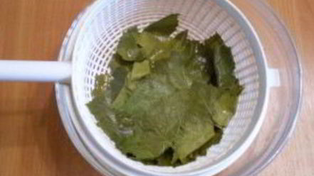 Рецепт виноградных листьев на зиму