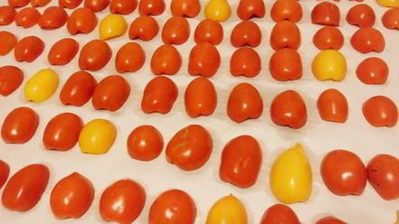 Рецепт вяленых помидоров на зиму