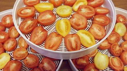 Рецепт вяленых помидоров на зиму