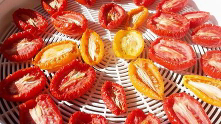 Рецепт вяленых помидоров на зиму