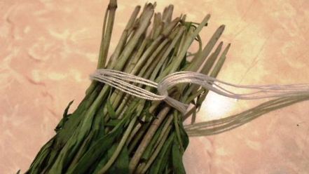 Рецепт заготовки пряности — чабра, эстрагона