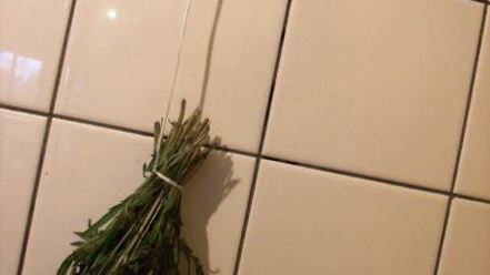 Рецепт заготовки пряности — чабра, эстрагона