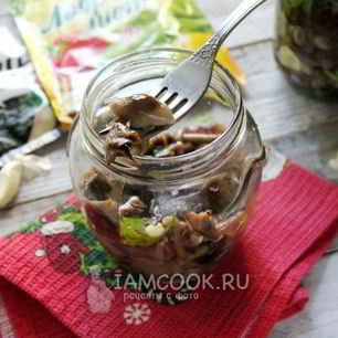 Рецепт Засолки опят на зиму горячим способом в банках