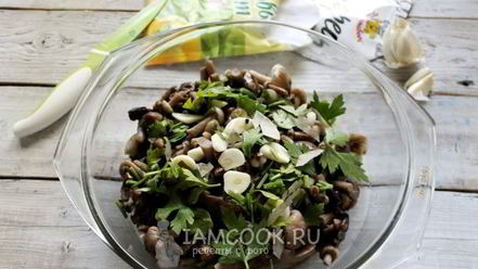 Рецепт засолки опят на зиму горячим способом в банках