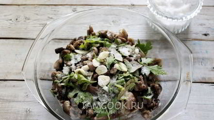 Рецепт засолки опят на зиму горячим способом в банках