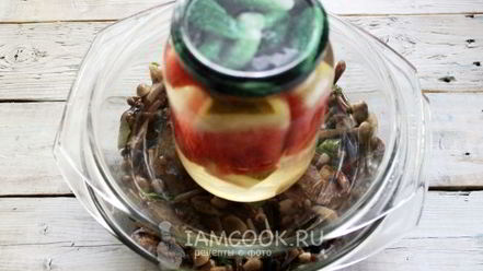 Рецепт засолки опят на зиму горячим способом в банках