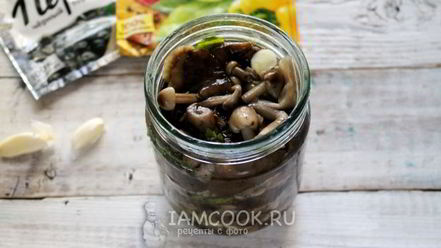 Рецепт засолки опят на зиму горячим способом в банках
