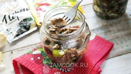 Рецепт засолки опят на зиму горячим способом в банках