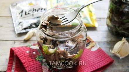 Рецепт засолки опят на зиму горячим способом в банках