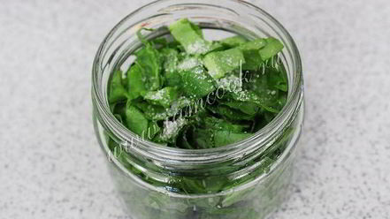 Рецепт засолки щавеля на зиму