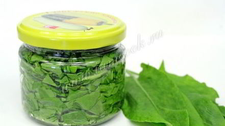 Рецепт засолки щавеля на зиму