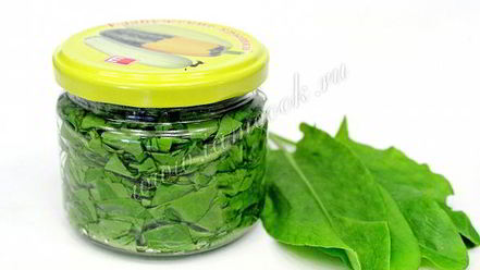 Рецепт засолки щавеля на зиму