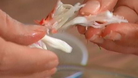 Рецепт брускетты с крабами