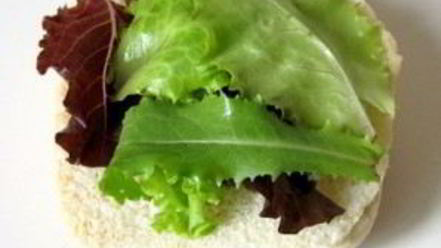 Рецепт вегетарианского бургера