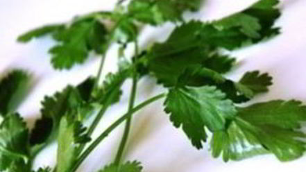 Рецепт буррито с ветчиной и сыром