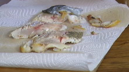 Рецепт бутерброда с белой рыбой и соусом из йогурта и каперсов