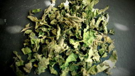 Рецепт картофельных чебуреков для постящихся