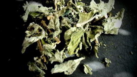 Рецепт картофельных чебуреков для постящихся