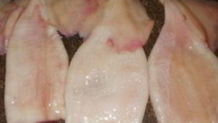 Рецепт фаршированного кальмара с рисом и яйцом