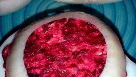 Рецепт фаршированных яиц с сельдью