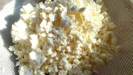 Рецепт горячих творожных гренков