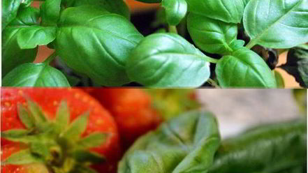 Рецепт гренков с хамоном и клубникой