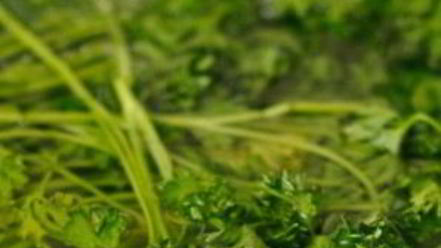 Рецепт икры кабачковой с овощами