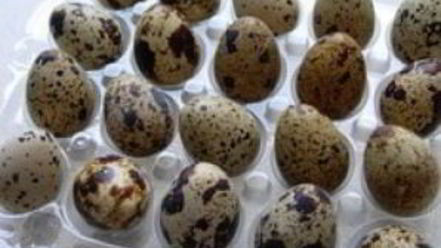 Рецепт канапе из яиц на завтрак