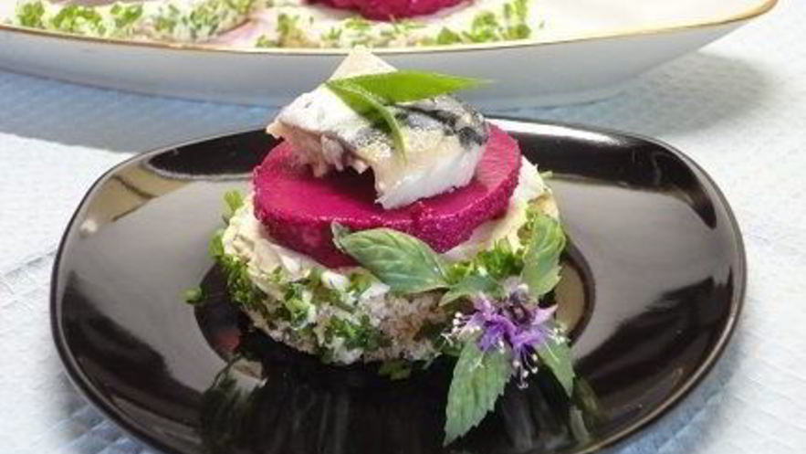 Рецепт канапе с сельдью и муссом из свеклы