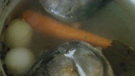 Рецепт холодца из головы сома