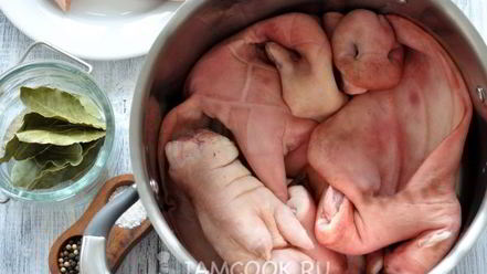 Рецепт холодца из свиной головы