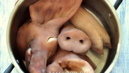 Рецепт холодца из свиной головы