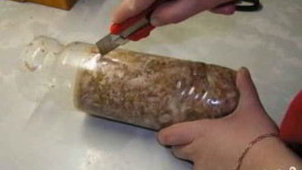 Рецепт куриного холодца в бутылке