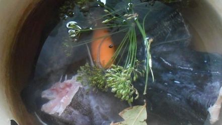 Рецепт студня холодец из рыбы