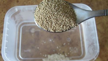 Рецепт булочек для хот догов