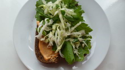 Рецепт хот-дога с капустным салатом