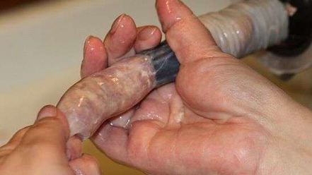 Рецепт колбасы домашней