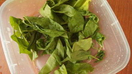 Рецепт фриттаты со свеклой и шпинатом креативный завтрак