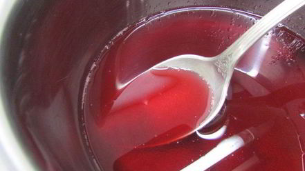 Рецепт паштета из куриной печени с коньяком и гранатовым желе