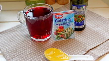 Рецепт паштета из куриной печени в гранатовом желе