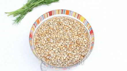 Рецепт паштета из семян подсолнуха