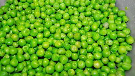 Рецепт паштета из зеленого горошка