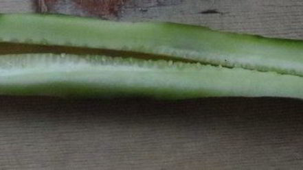 Рецепт роллов гефу