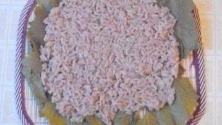 Рецепт роллов с виноградными листьями