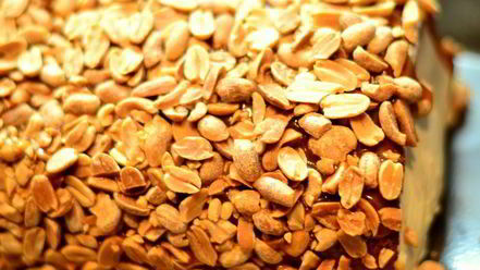 Рецепт рулета медового с карамелью и арахисом